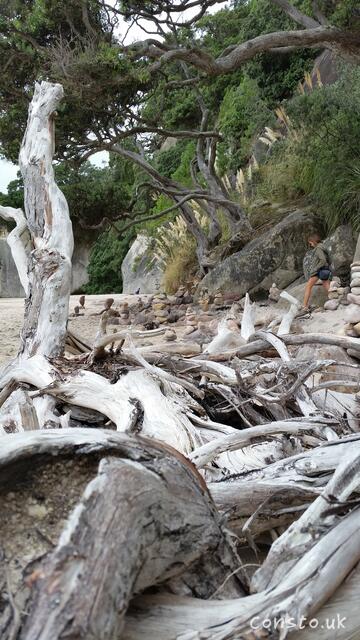 cathedral-cove 6