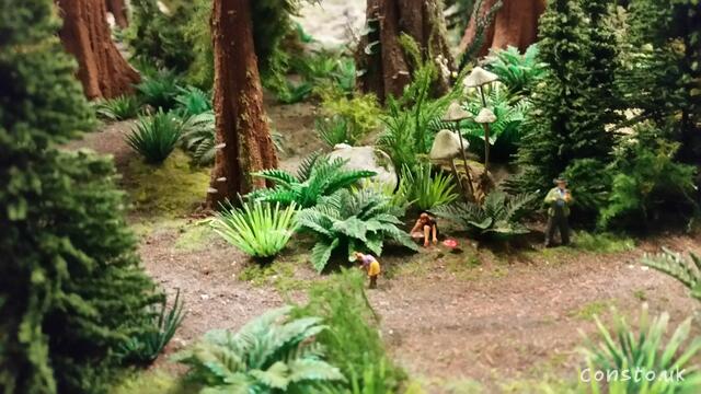 Miniature Woods