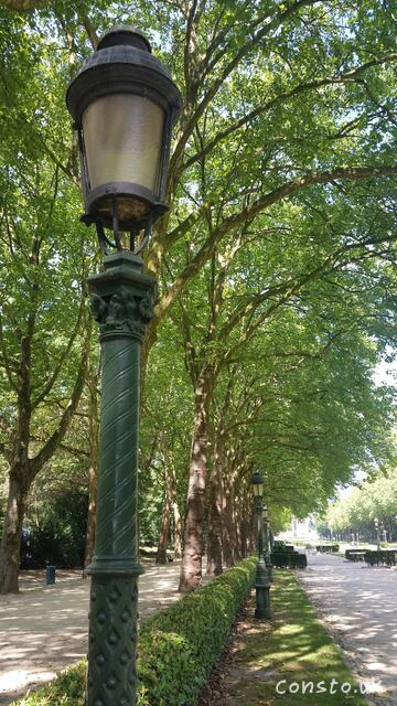 Lamp and Trees